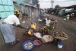 Kenya's slum women risk health to avoid violence